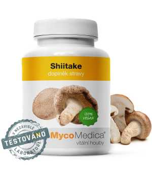 Shiitake 30% - w optymalnym stężeniu