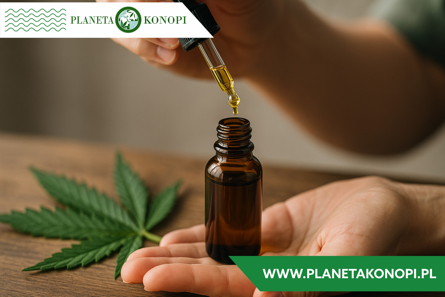 Jak rozpoznać wysokiej jakości olej CBD?