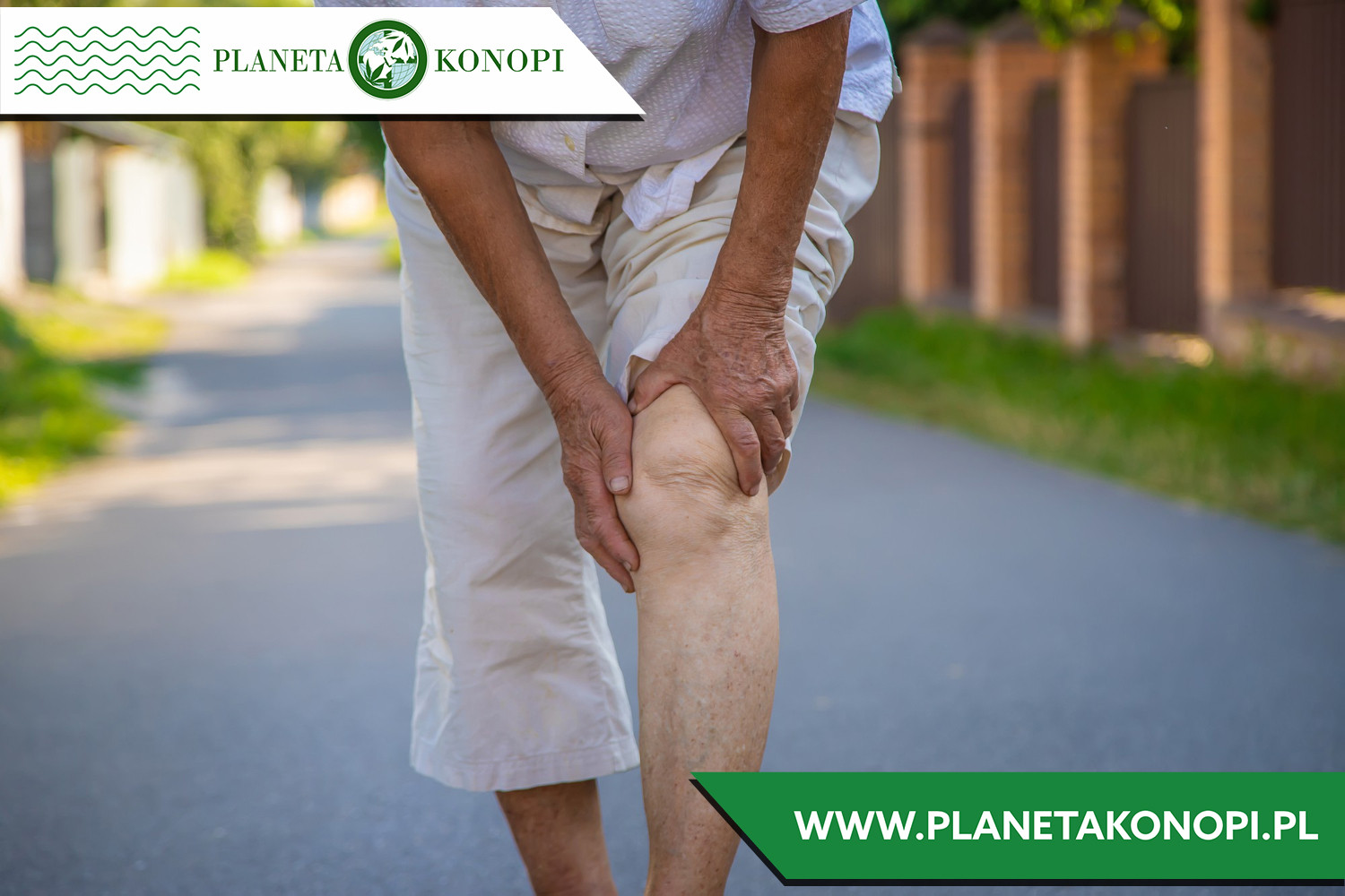 Jakie grzyby na stawy?